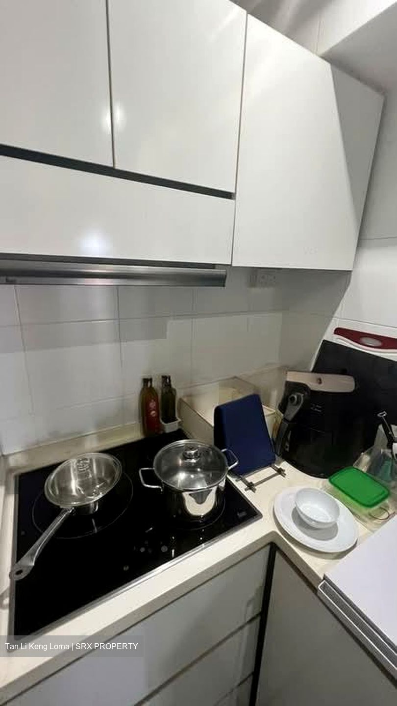Blk 1A The Pinnacle@Duxton (Bukit Merah), HDB 4 Rooms #538107951